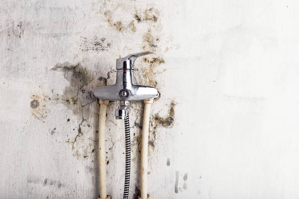 Best Residential Mold Remediation in Crystal City, TX