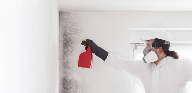 Best Industrial Mold Remediation in Crystal City, TX