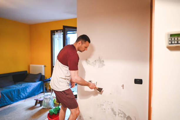 Best Mold Testing and Inspection Services in Crystal City, TX